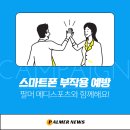 팔머메디스포츠 이미지