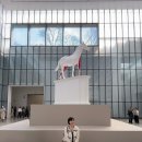 천아트(야간) | 국립현대미술관 데이미언 허스트 전시 첫 날 오픈런 관람 후기 (예약 링크, 관람팁 포함)