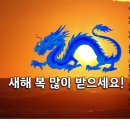 곰곰히 되새기는 2024년! 이미지