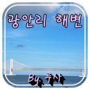 7월 말 부산여행 다섯 - 바오 패밀리가 있던 광안리해수욕장
