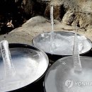 마이산 농장 이미지