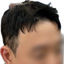 모이나 헤어