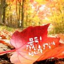 보물창고 이미지