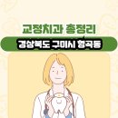 조영섭치과의원 | 경상북도 구미시 형곡동 교정치과 총정리