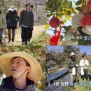 시고르 이미지