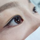 양산속눈썹펌 브로우보네르(brow bonheur) 후기