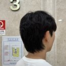 미주미용실 - 영도구 청학동로 31 | 세종남자미용실 엘리제헤어 미주디자이너 자연스러움 끝판왕 “남자애즈펌” 후기