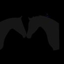 꼭지미용실 이미지