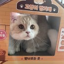 한주(아) | 2025년 2월 한주 마무리