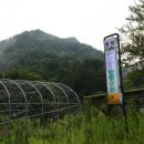 카페 태백로2417 이미지