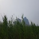 고양고등학교 이미지
