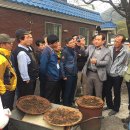 산촌농부
