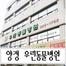 우린동물병원 이미지