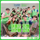 서안 티스토리
