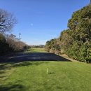 테디밸리CC 이미지