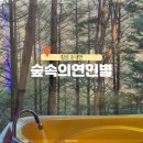 숲속의 예쁜별 | 횡성 둔내면 숲뷰 힐링가득 독채펜션 야외 노천탕 월풀스파 숙소 숲속의연인별