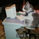 잘해줄게 이미지