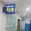 아세아바른이치과의원 네이버블로그