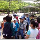 삼정초등학교 이미지