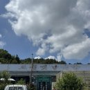 영산포뼈해장국