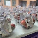 세종 호운 검도관 이미지