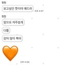 언니.. 이런 건 재난문자로 알려줘야지. 이미지