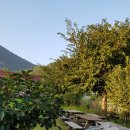 초원의집 민박 이미지