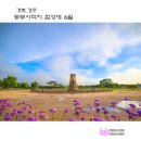 동부드론
