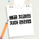 스타서울치과의원 이미지