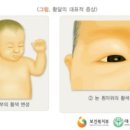 맥진모유수유클럽 네이버블로그