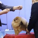 오구오구내새끼 이미지