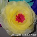 무화가 이미지