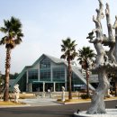 건강과 성 박물관 이미지