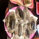 선영수산 | 🦀 소래포구 킹크랩 시세 2.8kg 26만원, 수산시장 가격·젓갈·주차 정보 정리