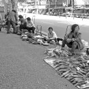 장터사람들 이미지