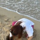 하마당 이미지