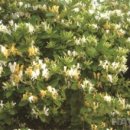 (주)인동 이미지