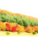 고전으로 배우는 한자 이미지