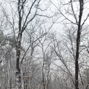 국사봉 누리길 이미지