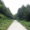 축령산 산소길(2구간) 이미지