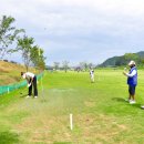 파크골프 이미지