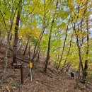 원곡동 785~원곡동 792-9 주변 | 팔공산 7암자 순례 어때? 7암자에 반하다! -2부