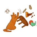 홍선생도시락 이미지