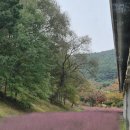 가산수피아 이미지