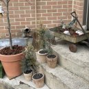 봉방2길 21, (봉방동) 이미지