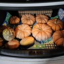 농민건강원 이미지