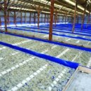 옥도보건진료소 이미지