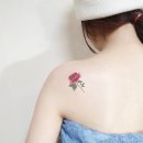 대구민스타투 이미지