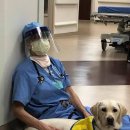 (주)윈메디칼 이미지