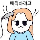 박미용실 이미지